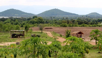 Kampot Pepper Farm, Cambodia
