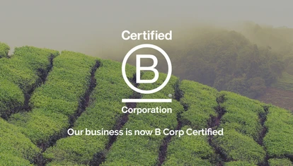 IAT_B-Corp