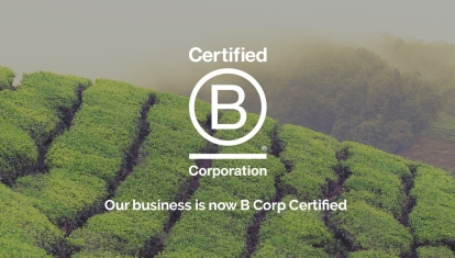 IAT_B-Corp