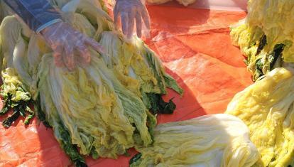 making kimchi