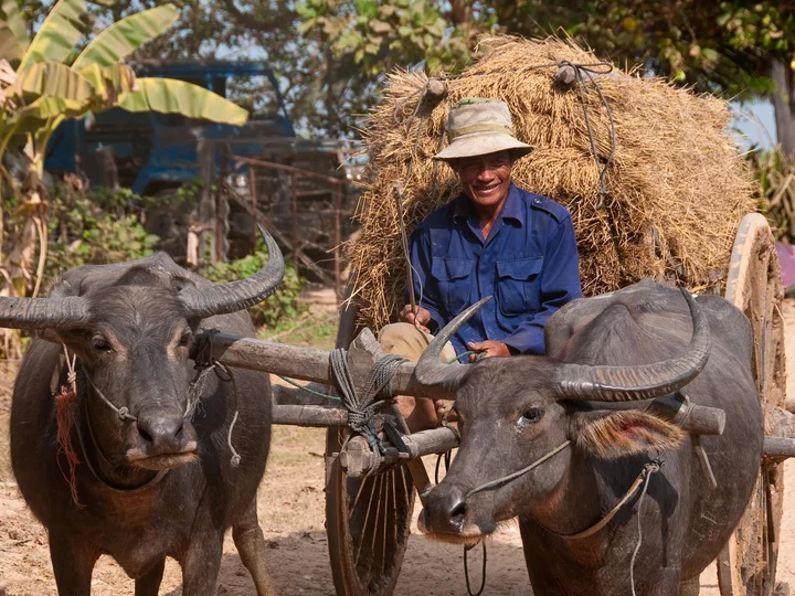 Village life on the outskirts of Siem Reap