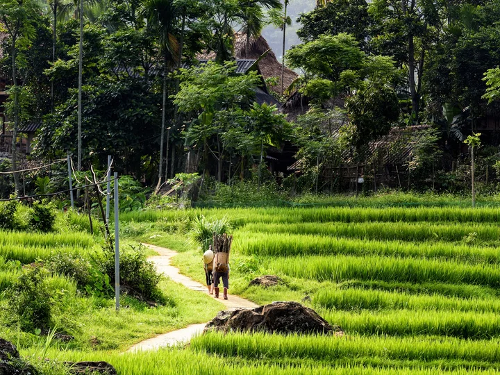 Trekking in Pu Luong