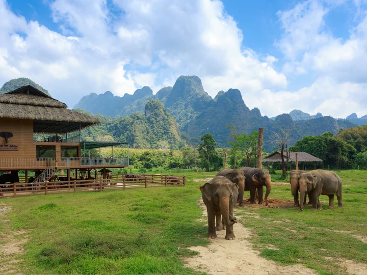 Thailand - Khao Sok National Park - Elephants & Lodge of Elephant Hills