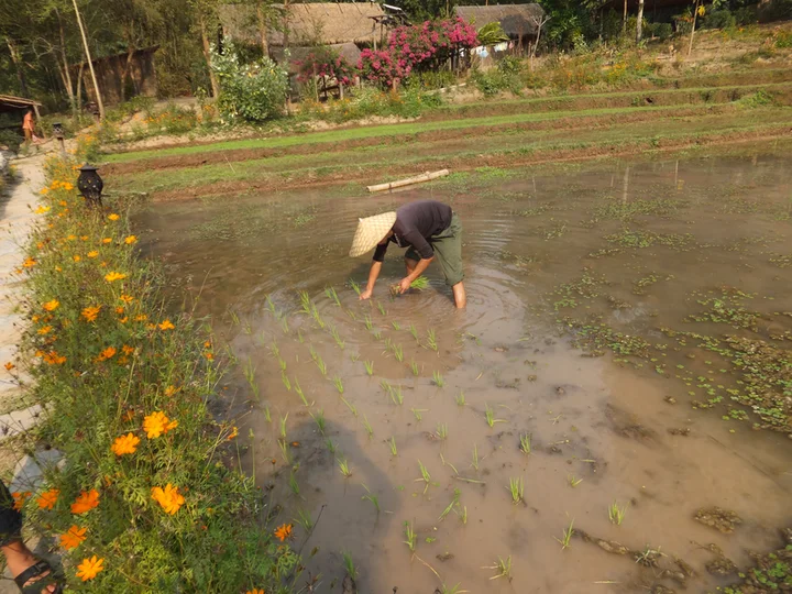 Kamu Lodge Laos
