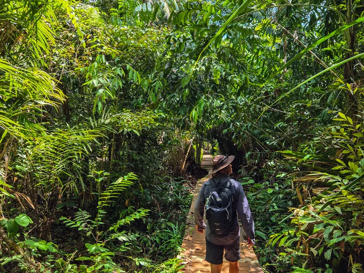 Borneo Bako National Park