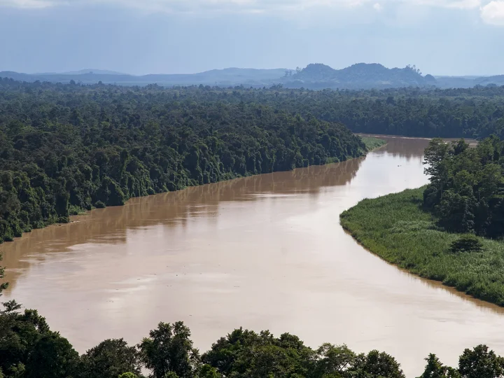 Kinabatangan River