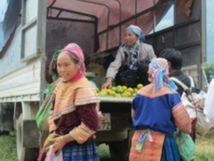20121120-151401.jpg