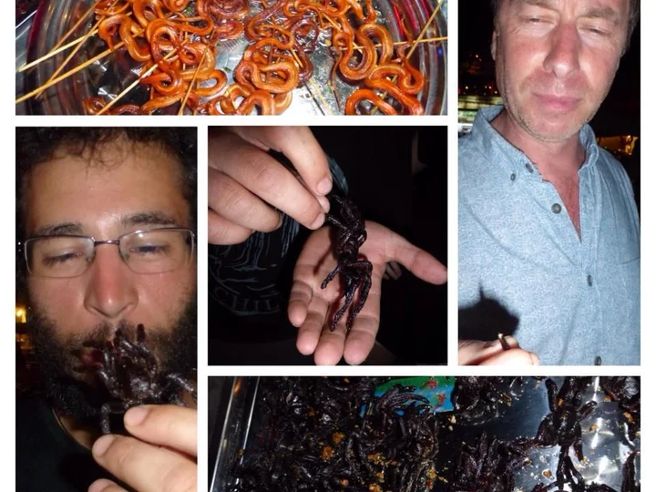 Tasting delicacies