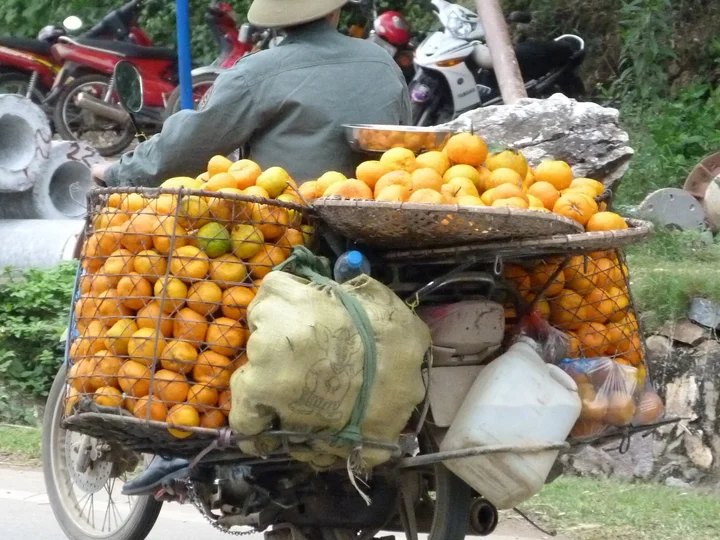Transporting oranges by motorbike