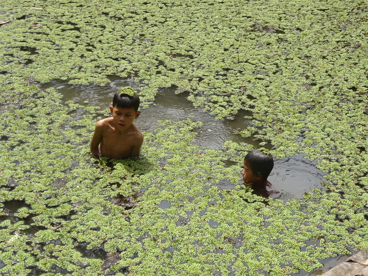 Cambodian kids