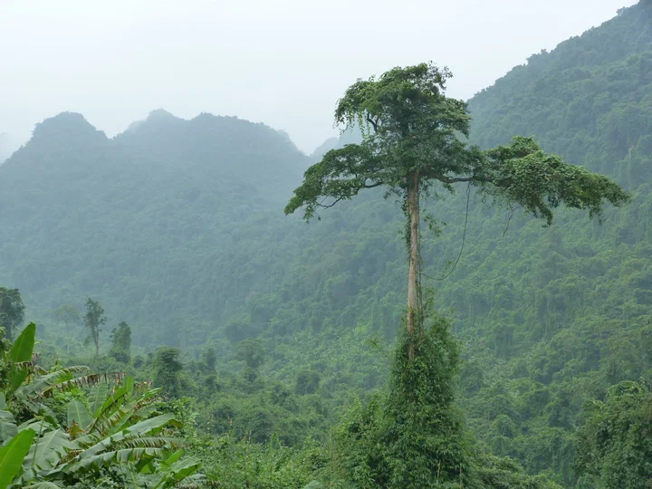 Phong Nha National Park