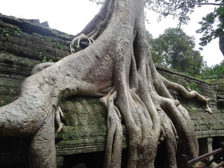 August 2014 trip