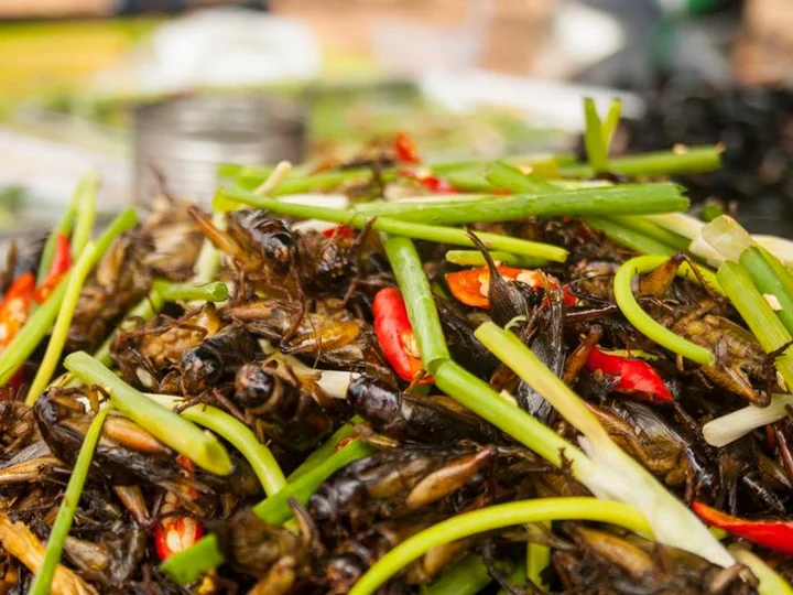 Khmer delights InsideAsia Tours