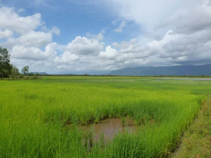 Bike tour in Cambodia