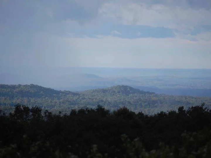 The forests of Mondulkiri