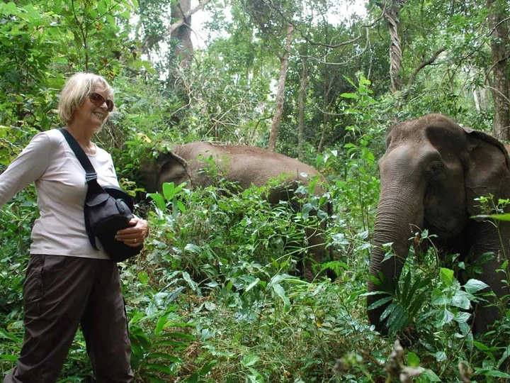 Walking with elephants