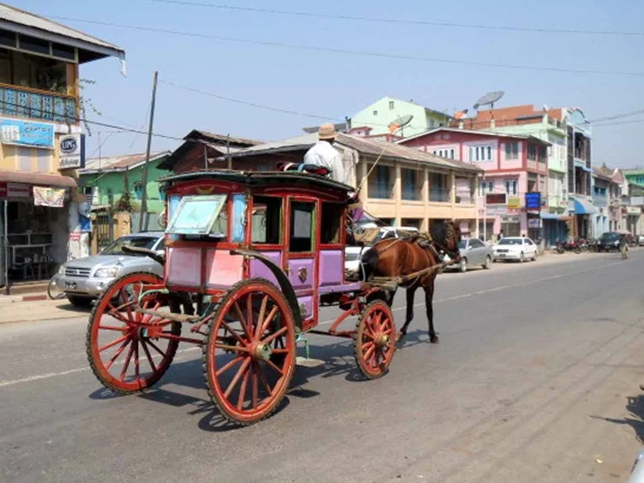Take a horse and cart ride