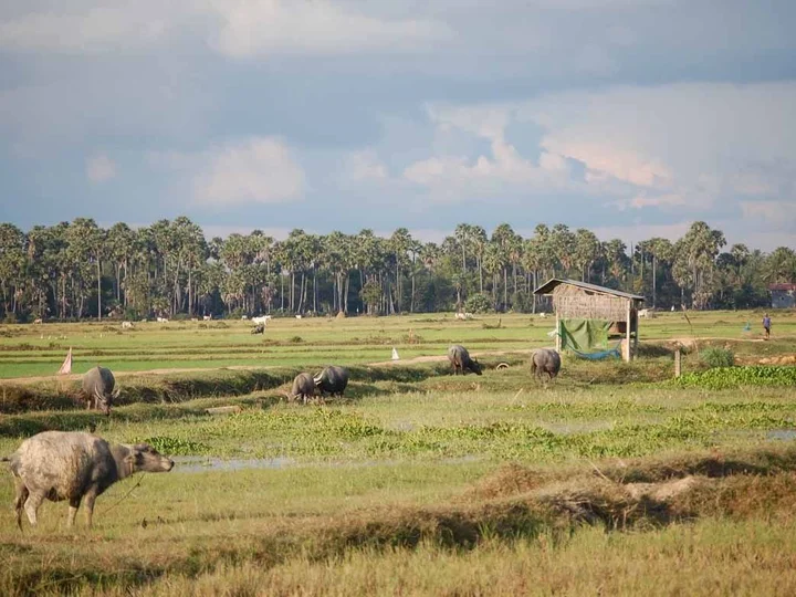 The Siem Reap countryside
