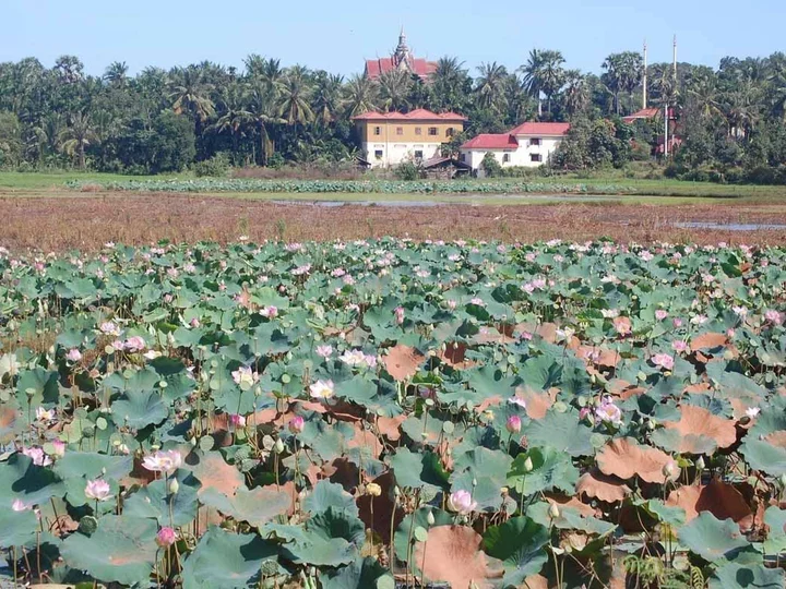 Farmland on the way to Kratie
