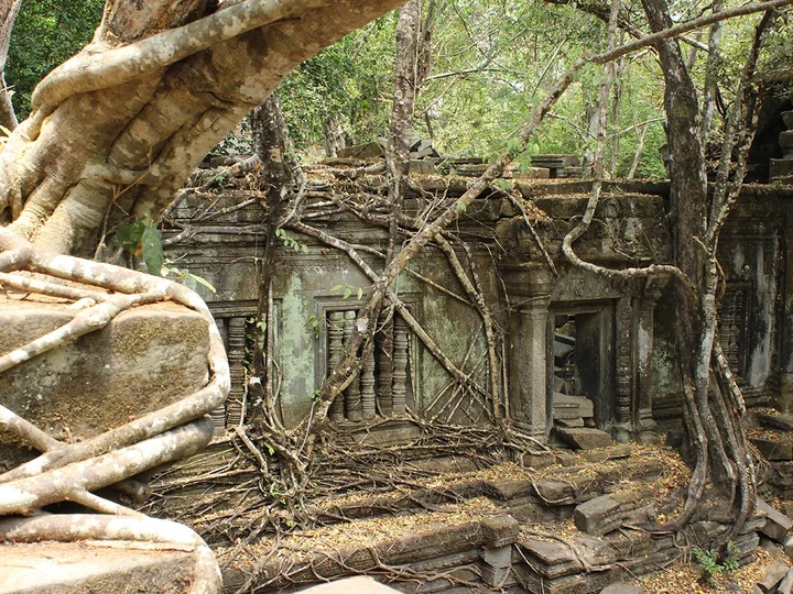 Beng Mealea Temple
