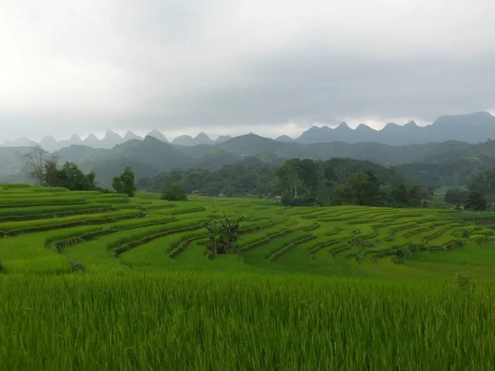 Ha Giang 1