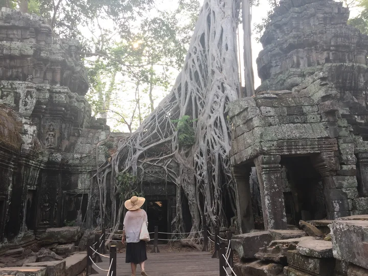 Temples of Forest Tour