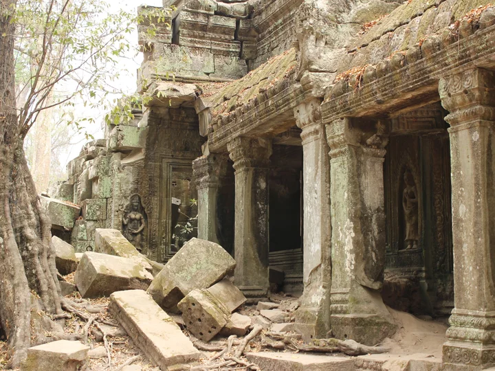 Siem Reap - Ta Prohm_5689