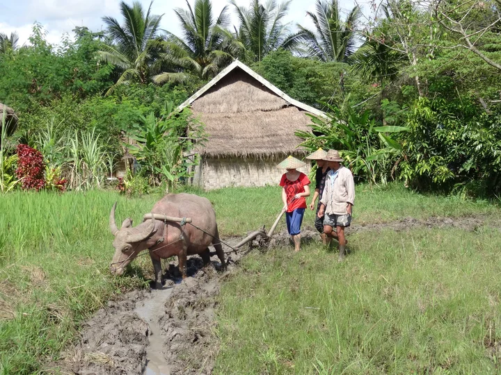 Living Land Farm (5)