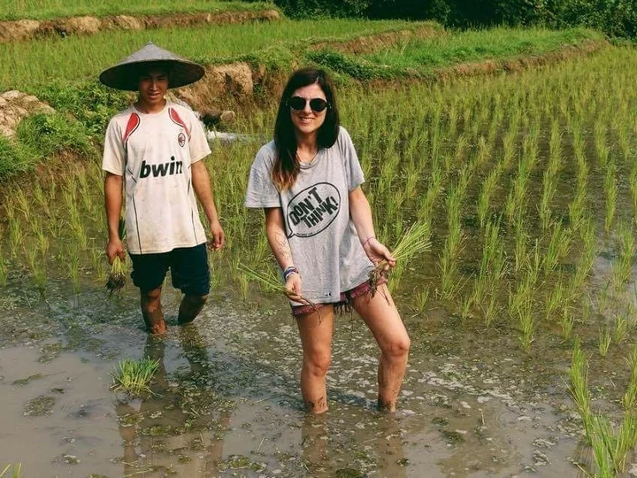 Rice Farming 1
