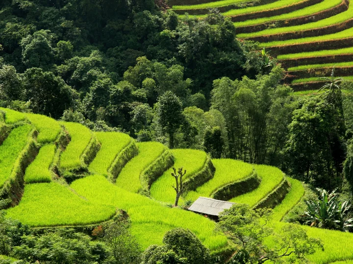 2. Ha Giang - Dong Van 4