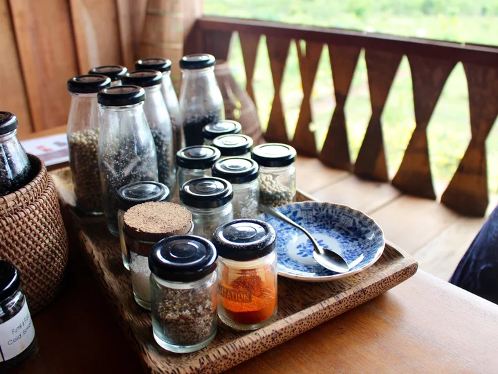 Kampot pepper farm (5)