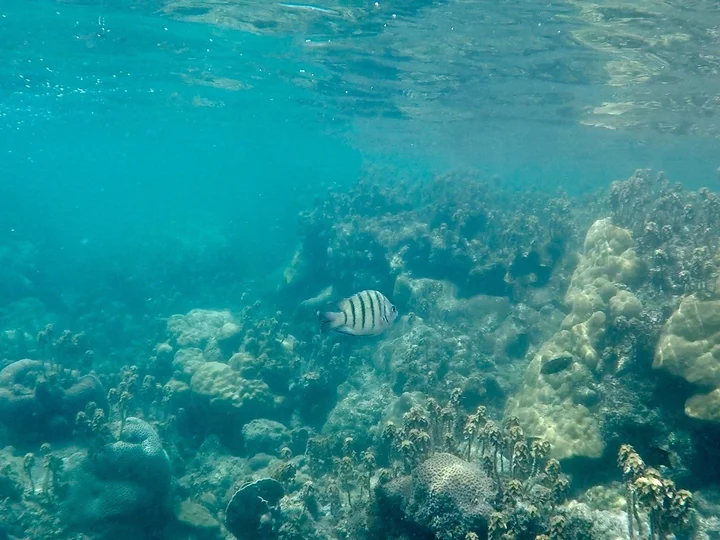 Koh Rong (3)