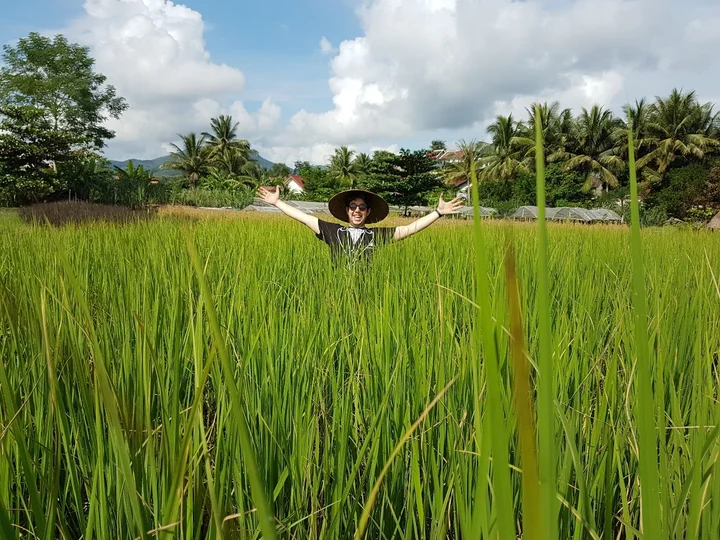 Dylan rice planting in Laos