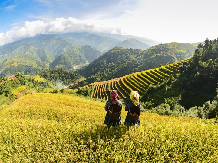 Ha Giang rice terraces, Vietnam