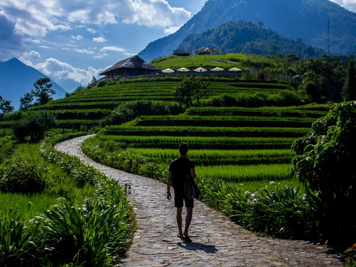 Sapa rice terraces, VIetnam