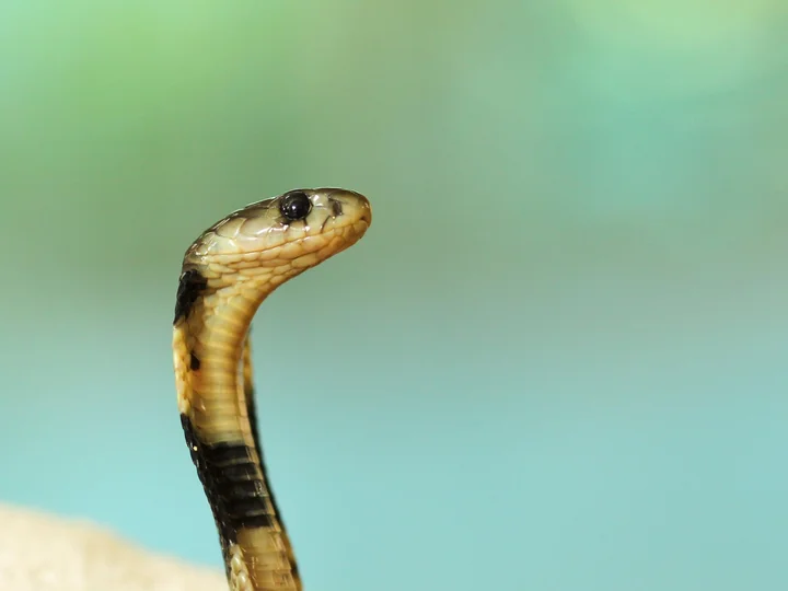 boris-smokrovic-bPldxRHkTzw-unsplash