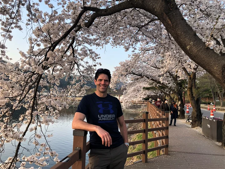 Cherry-blossom-in-Andong-1