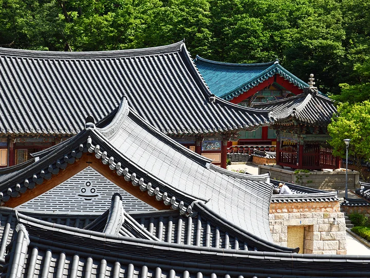 Traditional Korean roofs surrounded by green forest in a temple complex in South Korea