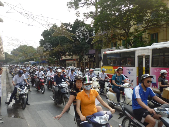 Wild Traffic