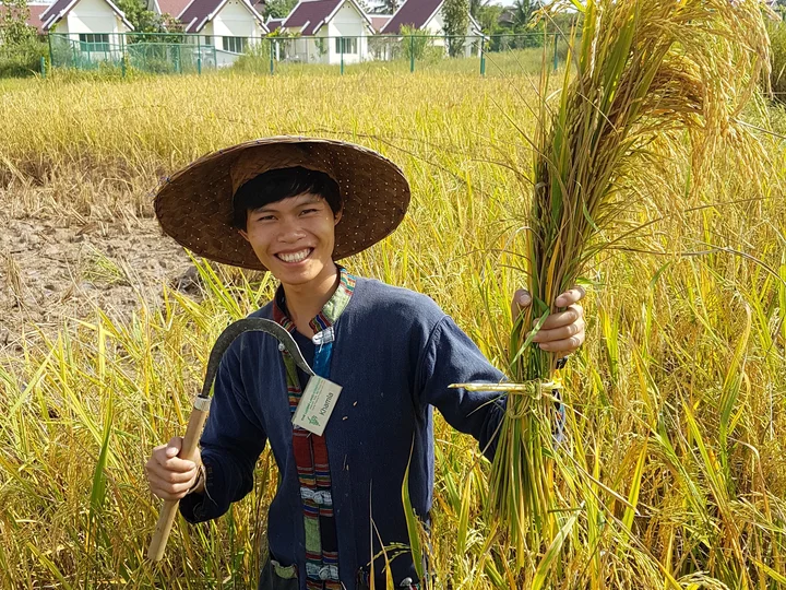 Laos Person