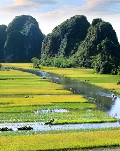 Pastwiska ryżowe i góry w Ninh Binh 