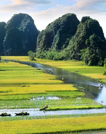 Rice paddies and mountains of Ninh Binh