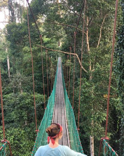 Canopy walkway in Danum Valley