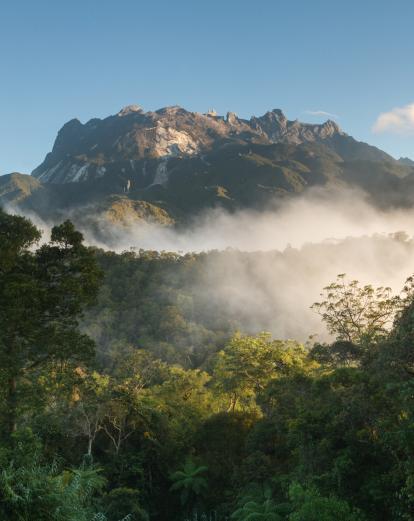 View of Mt Kinabalu from Kinabalu Park