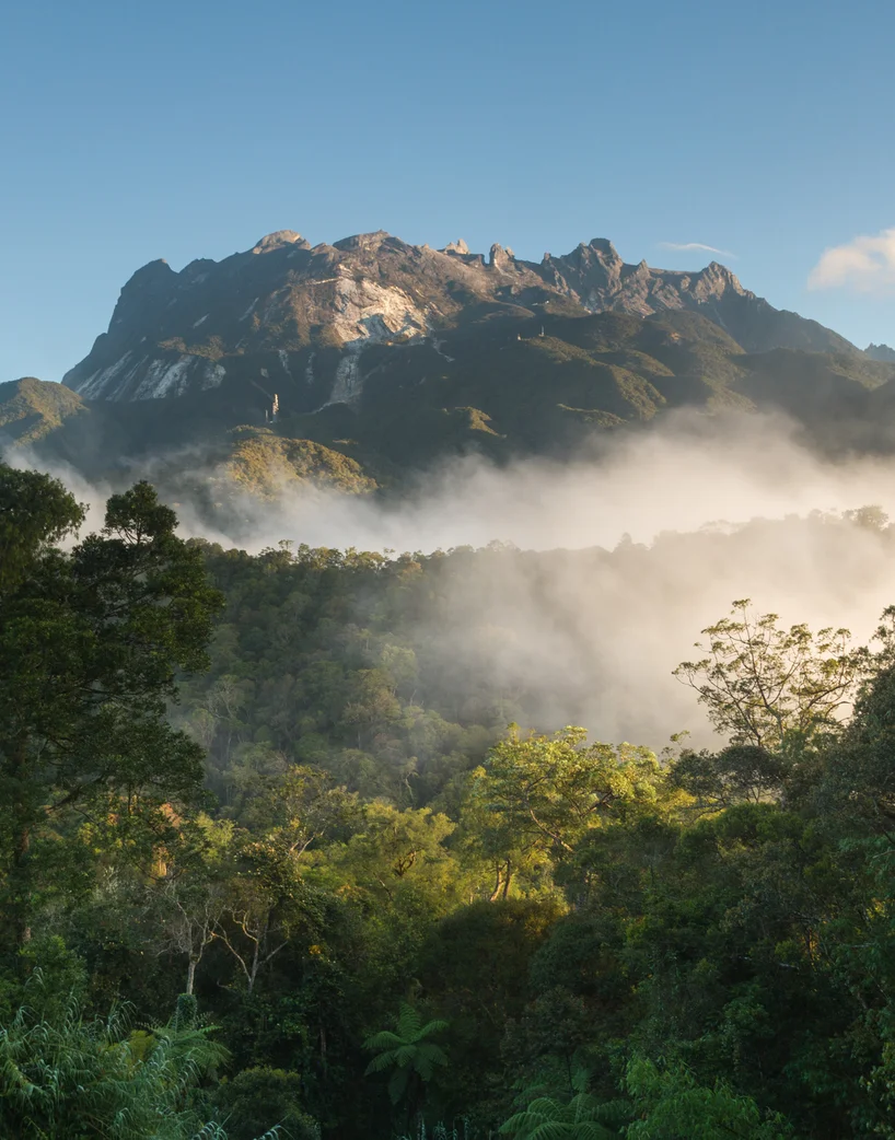 View of Mt Kinabalu from Kinabalu Park 
