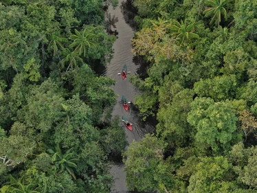 Aerial view of kayakers in Botum Sakor National Park