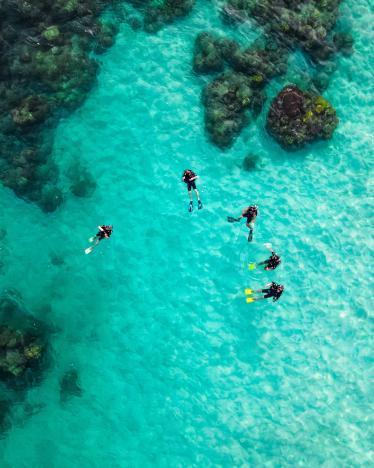 Diving in Gaya Island
