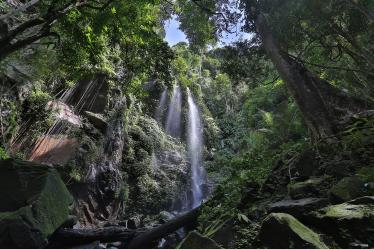 Belum Rainforest waterfall