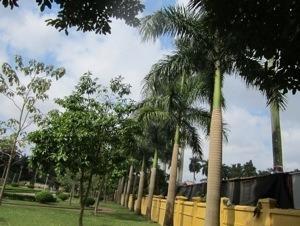 20121114-224723.jpg