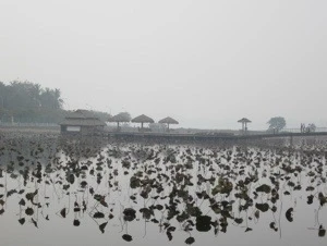 20121114-224812.jpg